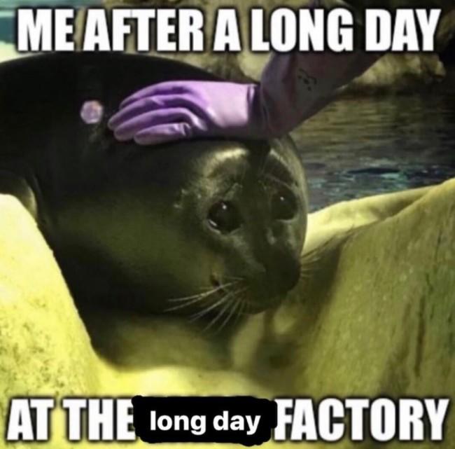 A meme of a seal being pet by a rubber gloved person. The meme reads, "Me after a long day at the long day factory."