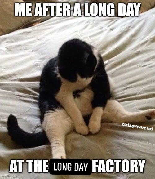 ME AFTER A LONG DAY catsaremetal AT THE LONG DAY FACTORY imgflip.com