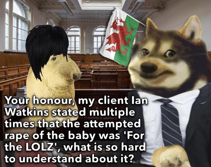 Your honour, my client lan Watkins stated multiple times that the attempted r--- of the baby was 'For the LOLZ', what is so hard to understand about it?
