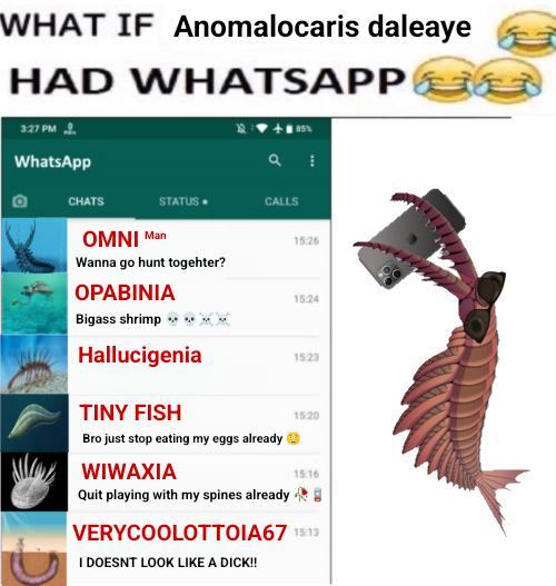 WHAT IF Anomalocaris daleaye HAD WHATSAPP 3:27 PM WhatsApp CHATS STATUS CALLS OMNI Man 15:26 Wanna go hunt togehter? OPABINIA 15:24 Bigass shrimp ****) Hallucigenia 1523 TINY FISH Bro just stop eating my eggs already MY WIWAXIA Quit playing with my spines already 1520 15:16 VERYCOOLOTTOIA67 15:13 I DOESNT LOOK LIKE A D---!!