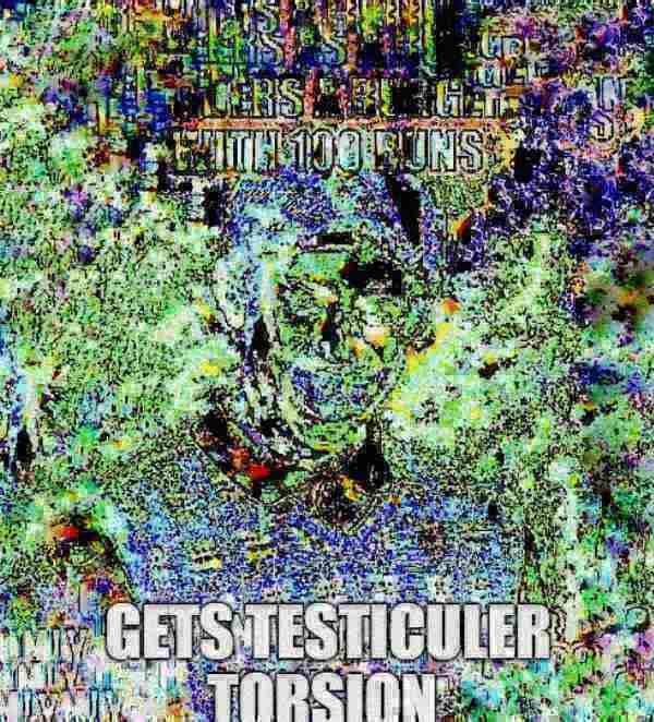 CERS B WITH 100 BUNS GETS TESTICULER TORSION