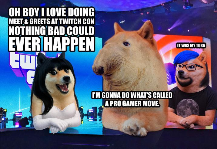 OH BOY I LOVE DOING MEET & GREETS AT TWITCH CON NOTHING BAD COULD EVER HAPPEN I'M GONNA DO WHAT'S CALLED A PRO GAMER MOVE. IT WAS MY TURN