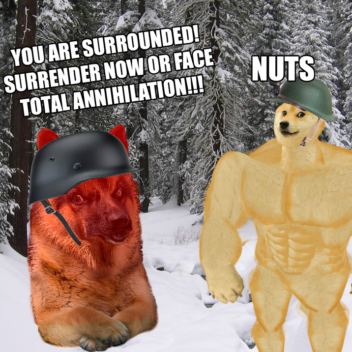 YOU ARE SURROUNDED! SURRENDER NOW OR FACE TOTAL ANNIHILATION!!! NUTS