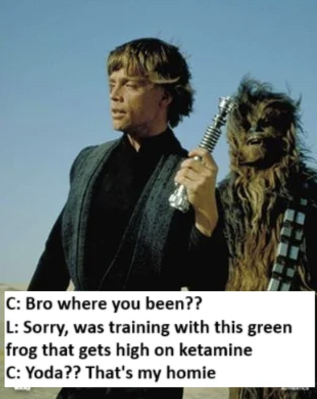 C: Bro where you been?? L: Sorry, was training with this green frog that gets high on ketamine C: Yoda?? That's my homie