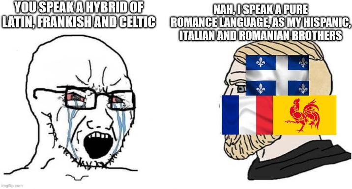 YOU SPEAK A HYBRID OF LATIN, FRANKISH AND CELTIC NAH, I SPEAK A PURE ROMANCE LANGUAGE, AS MY HISPANIC, ITALIAN AND ROMANIAN BROTHERS imgflip.com