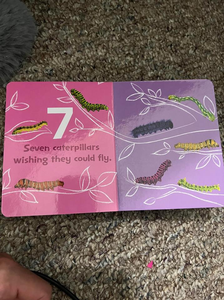 7 Seven caterpillars wishing they could fly.