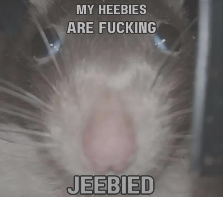 MY HEEBIES ARE F------ JEEBIED