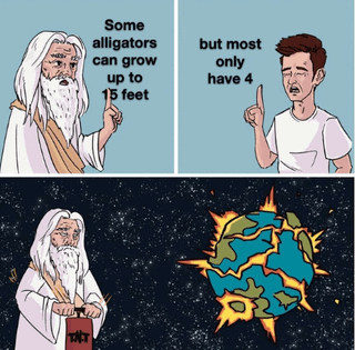 TNT Some alligators can grow up to 15 feet but most only have 4