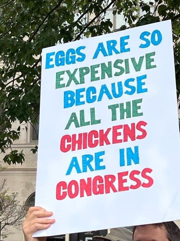 EGGS ARE SO EXPENSIVE BECAUSE ALL THE CHICKENS ARE IN CONGRESS