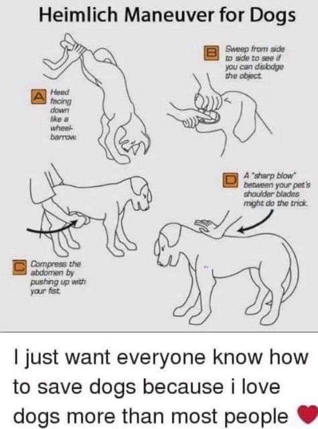 Heimlich Maneuver for Dogs Sweep from side to side to see if you can dislodge the object Hend facing down like a wheel barrow Compress the abdomen by pushing up with your fist A sharp blow between your pet's shoulder blades might do the trick. I just want everyone know how to save dogs because i love dogs more than most people