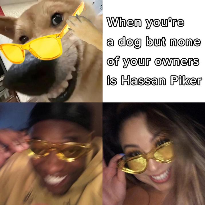 When you're a dog but none of your owners is Hassan Piker