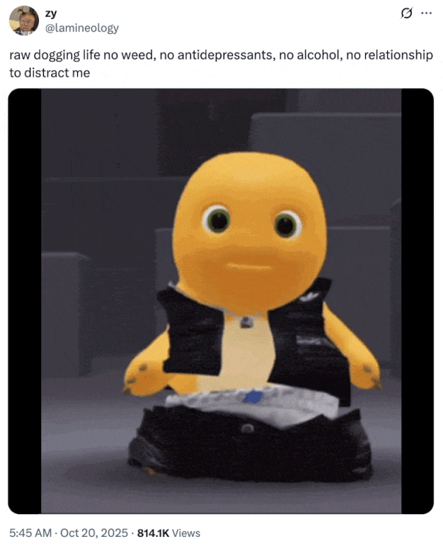 raw dogging life no weed, no antidepressants, no alcohol, no relationship to distract me A "tweet":https://knowyourmeme.com/memes/sites/twitter-x using the reaction "GIF":https://knowyourmeme.com/memes/cultures/gif of "Nailong":https://knowyourmeme.com/memes/nailong doing a "dwerk":https://knowyourmeme.com/memes/dwerking dance.