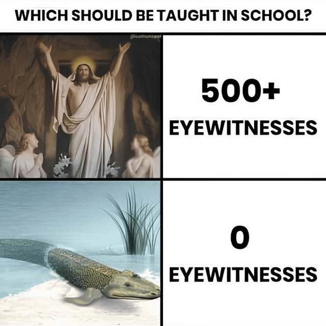 WHICH SHOULD BE TAUGHT IN SCHOOL? 500+ EYEWITNESSES EYEWITNESSES