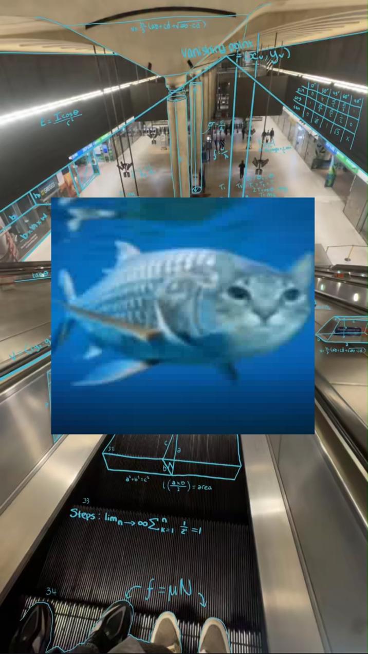 October 20th, 2025 tweet by @Shadoo_creeture X user @Shadoo_creeture tweeted an image of a "cat-fish" hybrid meme, writing, "How marine biologists see the world," gathering over 200,000 likes in a day.