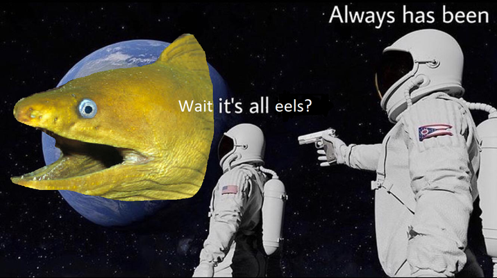 Wait it's all eels? Always has been