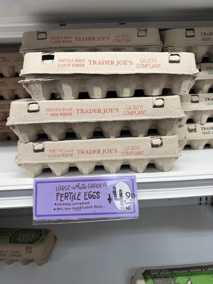FREE JOE'S ONE DOZEN REE JOE'S ADE FR ADCE J DOZEN 0] HANGE REGS rade A CA SEFS ags COMPLIANT FERTILE EGGS TRADER JOE'S LARGE WHITE CA SEFS COMPLIANT FERTILE EGGS TRADER JOE'S LARGE WHITE CA SEFS COMPLIANT D TRAD GRADE TRA GRA TRA GRAD FERTILE EGGS TRADER JOE'S ARGE WHITE CA SEFS COMPLIANT FERTILE EGGS TRADER JOE'S LARGE WHITE LARGE white GRADE A FERTILE EGGS CA SEFS compliant yes, you could hatch these... TRAD GRADE CA SEFS COMPLIANT 1202 TRADER JOE'S ONE DOZEN ORGANIC GRADE A LAR