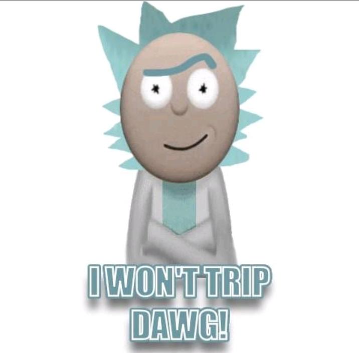 A variant of the "Don't Even Trip Dawg!" "meme":https://knowyourmeme.com/memes/memes, showing Rick Sanchez saying back to Morty, "I won't trip dawg."