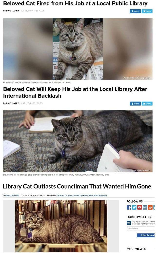 Beloved Cat Fired from His Job at a Local Public Library By RICKI HARRIS Jun 28, 2016, 5:28 PM ET f Share Tweet ports ar an Browser has been the mascot for the White Settlement Public Library for six years Beloved Cat Will Keep His Job at the Local Library After International Backlash By RICKI HARRIS Jul 5, 2016, 12:31 PM ET f Share Tweet Browser the cat sits among a group of children being read to in the city's public library, June 30, 2016, in White Settlement, Texas. John L. Mone/AP Photo Library Cat Outlasts Councilman That Wanted Him Gone by Cameron Fairchild December 14, 2016 at 1:39 pm Filed Under: Browser, Cat, library, Mayor Ron White, Texas, White Settlement FOLLOW US OUR NEWSLETTER Sign up and get our latest I delivered right to your inb Email address Subscribe Now MOST VIEWED