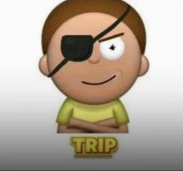 An "exploited":https://knowyourmeme.com/memes/exploitables version of the "Don't Even Trip Dawg!" "meme":https://knowyourmeme.com/memes/memes, showing Morty Smith from "_Rick and Morty_":https://knowyourmeme.com/memes/subcultures/rick-and-morty.