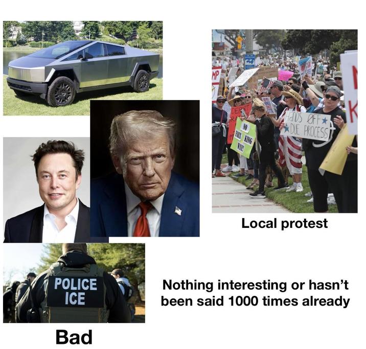 NO KING WAY! 1776 Hands OFF DUE PROCESS Local protest K POLICE ICE Nothing interesting or hasn't been said 1000 times already Bad