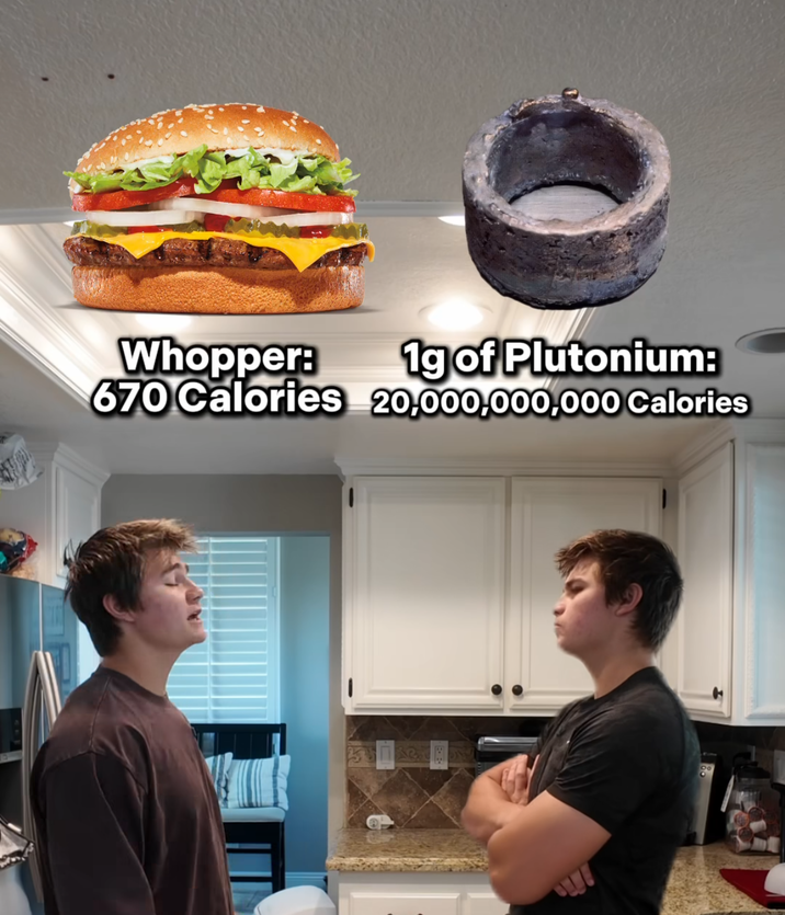 Whopper: 1g of Plutonium: 670 Calories 20,000,000,000 Calories