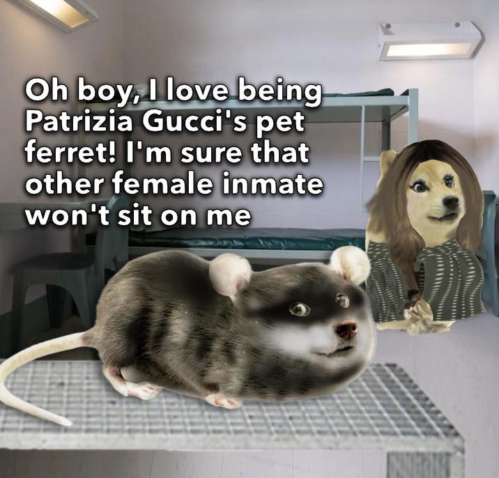 Oh boy, I love being Patrizia Gucci's pet ferret! I'm sure that other female inmate won't sit on me