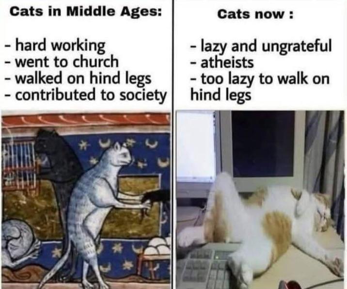 Cats in Middle Ages: - hard working - went to church - walked on hind legs - contributed to society Cats now: - lazy and ungrateful - atheists - too lazy to walk on hind legs
