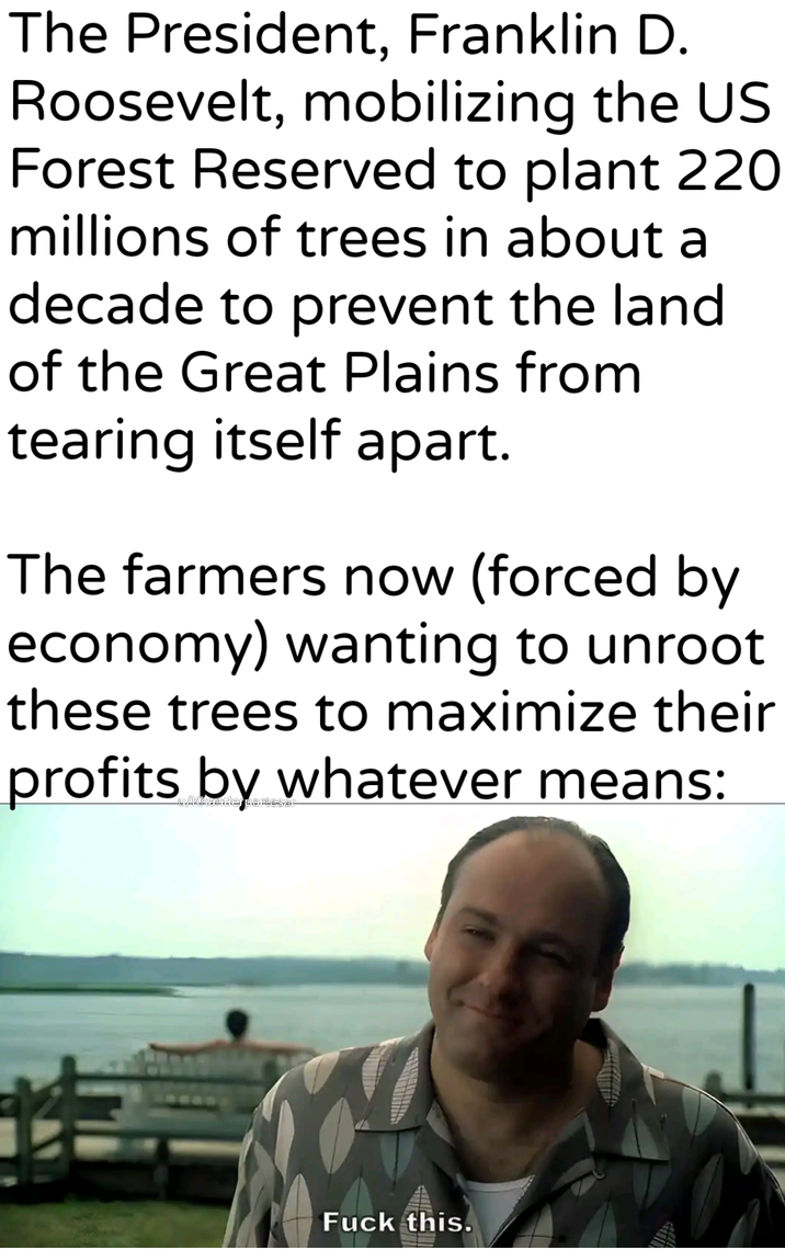 The President, Franklin D. Roosevelt, mobilizing the US Forest Reserved to plant 220 millions of trees in about a decade to prevent the land of the Great Plains from tearing itself apart. The farmers now (forced by economy) wanting to unroot these trees to maximize their profits by whatever means: F--- this.