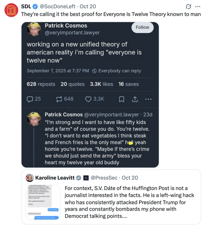 A "quote-tweet":https://knowyourmeme.com/memes/quote-retweets-qrts referencing the "Everyone is 12 Now" theory from "Bluesky":https://knowyourmeme.com/memes/sites/bluesky post from user Patrick Cosmos.