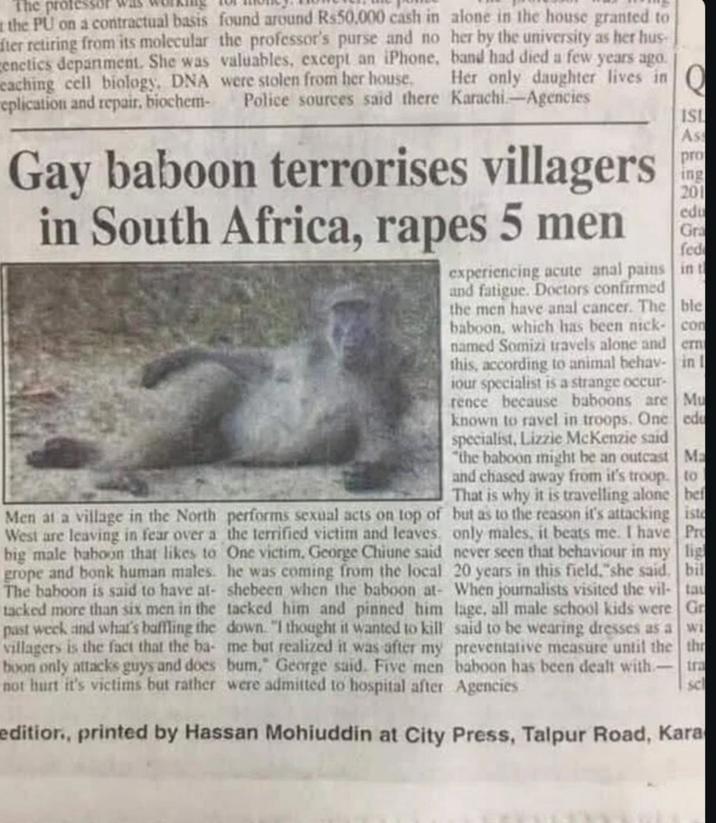 The professo the PU on a contractual basis found around Rs50,000 cash in fter retiring from its molecular the professor's purse and no genetics department. She was valuables, except an iPhone, caching cell biology. DNA were stolen from her house. eplication and repair, biochem- alone in the house granted to her by the university as her hus band had died a few years ago. Her only daughter lives in Q Police sources said there Karachi-Agencies Gay baboon terrorises villagers in South Africa, rapes 5 men Men at a village in the North West are leaving in fear over a big male baboon that likes to grope and bonk human males. The baboon is said to have at- tacked more than six men in the past week and what's baffling the villagers is the fact that the ba- boon only attacks guys and does not hurt it's victims but rather performs sexual acts on top of the terrified victim and leaves. One victim, George Chiune said he was coming from the local shebeen when the baboon at- tacked him and pinned him down. "I thought it wanted to kill me but realized it was after my bum," George said. Five men were admitted to hospital after ISL Ass pro ing 201 edu Gra fed ble experiencing acute a--- pains in t and fatigue. Doctors confirmed the men have a--- cancer. The baboon, which has been nick named Somizi travels alone and con en in I this, according to animal behav- iour specialist is a strange occur- rence because baboons are Mu known to ravel in troops. One edu specialist, Lizzie McKenzie said "the baboon might be an outcast Ma and chased away from it's troop. to That is why it is travelling alone bef but as to the reason it's attacking iste only males, it beats me. I have Pro never seen that behaviour in my lig 20 years in this field," she said. bil When journalists visited the vil- tau lage, all male school kids were Gr said to be wearing dresses as a wi preventative measure until the thr baboon has been dealt with-tra Agencies scl editior., printed by Hassan Mohiuddin at City Press, Talpur Road, Kara