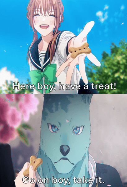 Here boy, have a treat! Go on boy, take it.