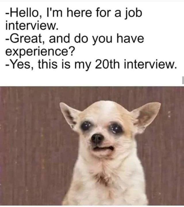 -Hello, I'm here for a job interview. -Great, and do you have experience? -Yes, this is my 20th interview.