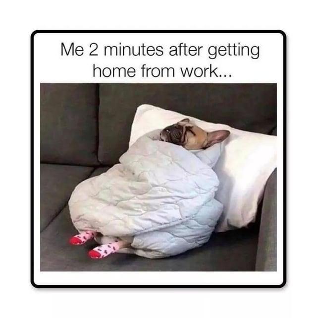 Me 2 minutes after getting home from work...