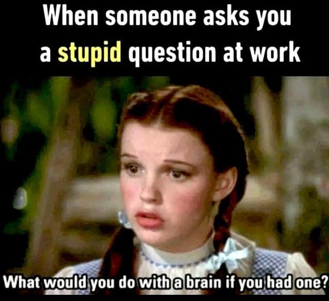 When someone asks you a stupid question at work What would you do with a brain if you had one?
