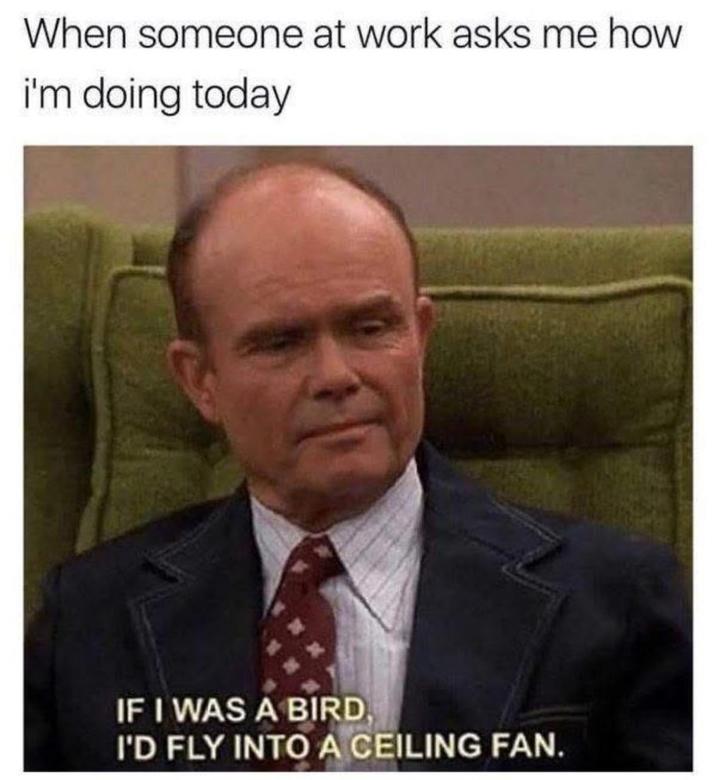 When someone at work asks me how i'm doing today IF I WAS A BIRD I'D FLY INTO A CEILING FAN.