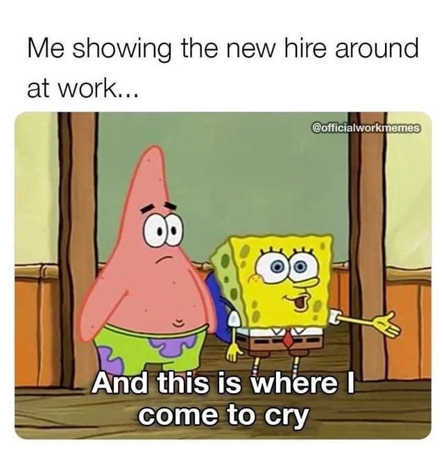 Me showing the new hire around at work... 8 @officialworkmemes And this is where I come to cry