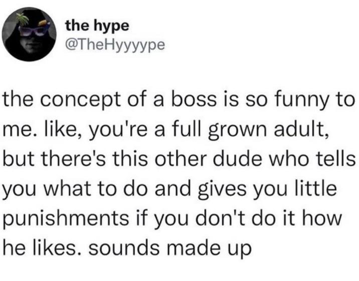 the hype @TheHyyyype the concept of a boss is so funny to me. like, you're a full grown adult, but there's this other dude who tells you what to do and gives you little punishments if you don't do it how he likes. sounds made up
