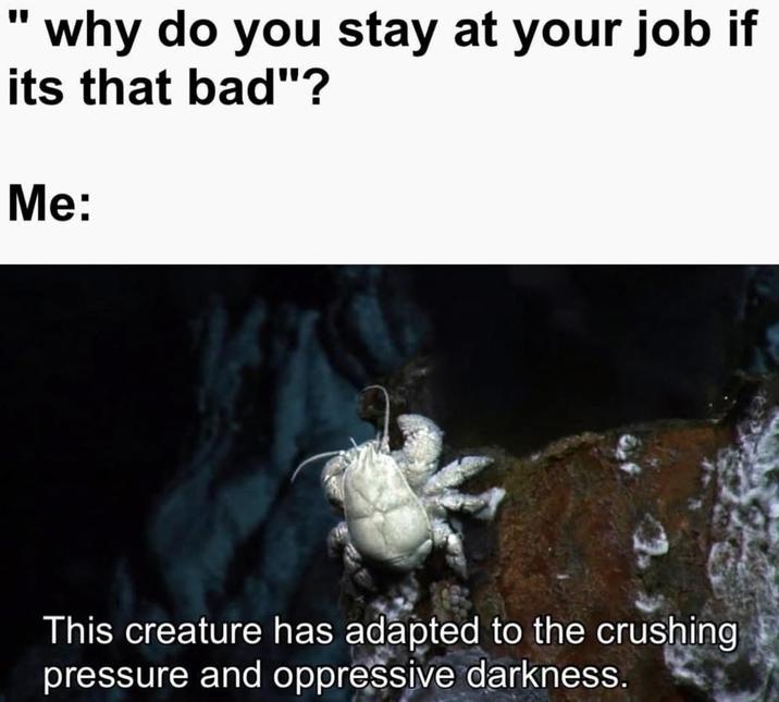 " why do you stay at your job if its that bad"? Me: This creature has adapted to the crushing pressure and oppressive darkness.