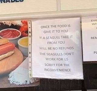 ONCE THE FOOD IS GIVE IT TO YOU IF A SEAGULL TAKE IT FROM YOU WILL BE NO REFUNDS THE SEAGULLS DON'T WORK FOR US SORRY FOR THE INCONVENIENCE EVE WH REN PL