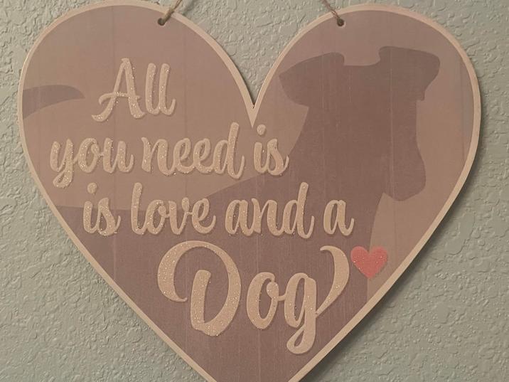 Au you need is is love and a Dog
