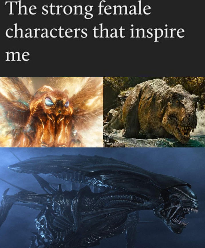 The strong female characters that inspire me
