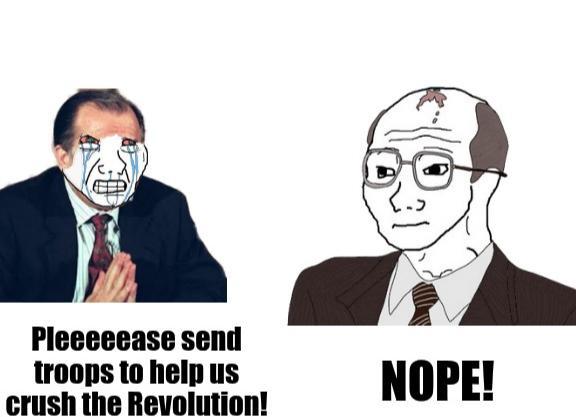 Pleeeeease send troops to help us crush the Revolution! NOPE!
