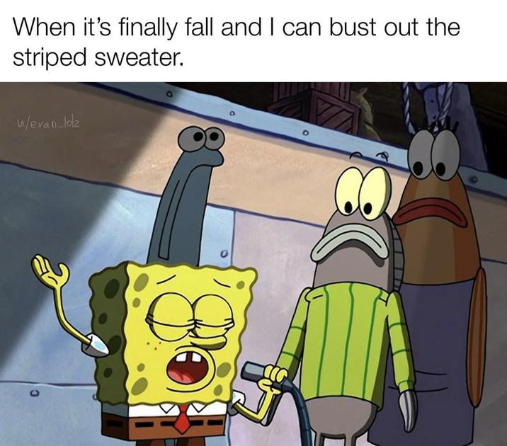 When it's finally fall and I can bust out the striped sweater. w/evan_lolz