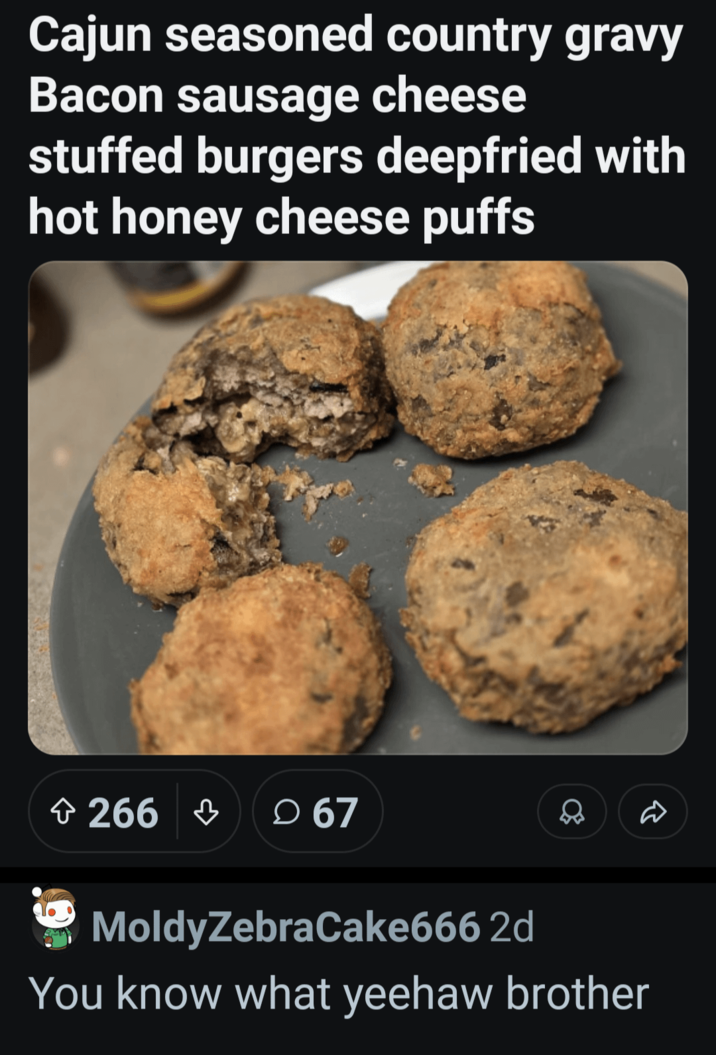 Cajun seasoned country gravy Bacon sausage cheese stuffed burgers deepfried with hot honey cheese puffs 266 O 67 MoldyZebraCake666 2d You know what yeehaw brother
