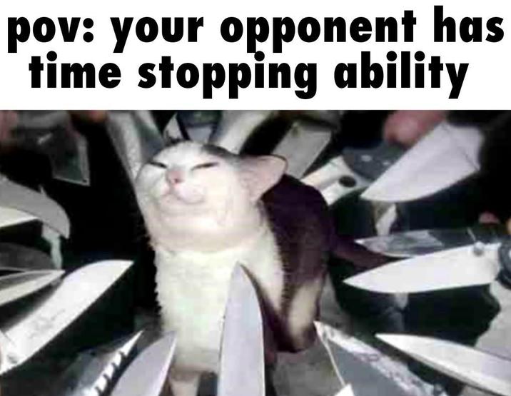 pov: your opponent has time stopping ability