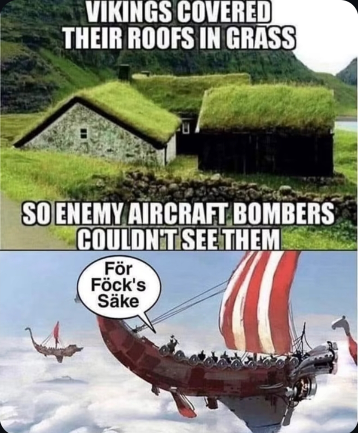 VIKINGS COVERED THEIR ROOFS IN GRASS SO ENEMY AIRCRAFT BOMBERS COULDN'T SEE THEM För Föck's Säke