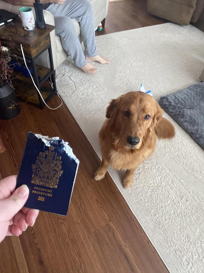 PASSPORT PASSEPORT