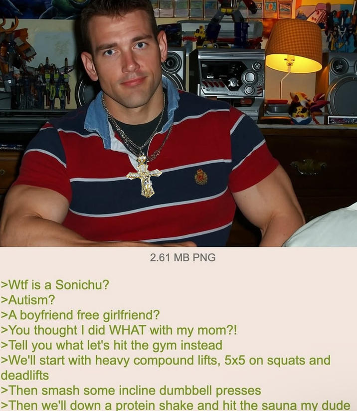 0 2.61 MB PNG >W-- is a Sonichu? >Autism? >A boyfriend free girlfriend? >You thought I did WHAT with my mom?! >Tell you what let's---- the gym instead >We'll start with heavy compound lifts, 5x5 on squats and deadlifts >Then smash some incline dumbbell presses >Then we'll down a protein shake and hit the sauna my dude