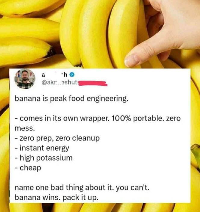 a h @akreshute banana is peak food engineering. - comes in its own wrapper. 100% portable. zero mess. - zero prep, zero cleanup - instant energy -high potassium - cheap name one bad thing about it. you can't. banana wins. pack it up.