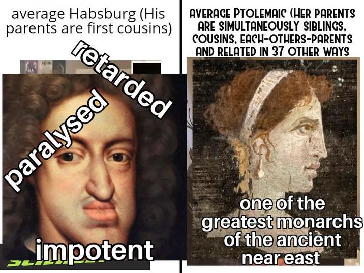 average Habsburg (His parents are first cousins) AVERAGE PTOLEMAIC (HER PARENTS ARE SIMULTANEOUSLY SIBLINGS, COUSINS, EACH-OTHERS-PARENTS AND RELATED IN 37 OTHER WAYS retarded paralysed impotent one of the greatest monarchs of the ancient near east